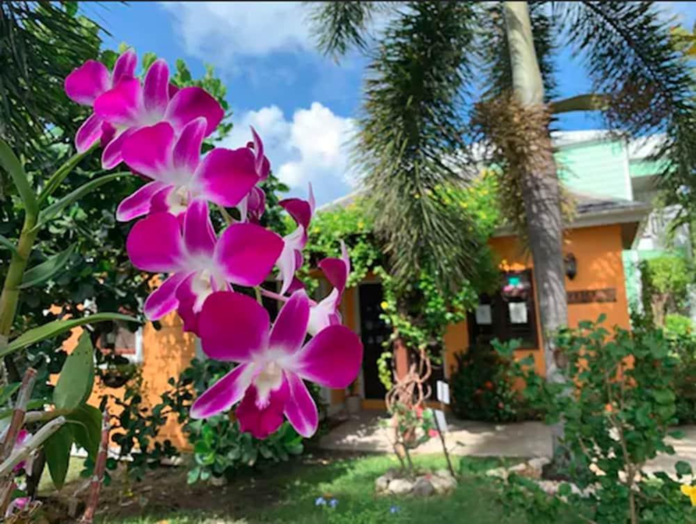 Dickenson Bay Buccaneer Beach Club المظهر الخارجي الصورة