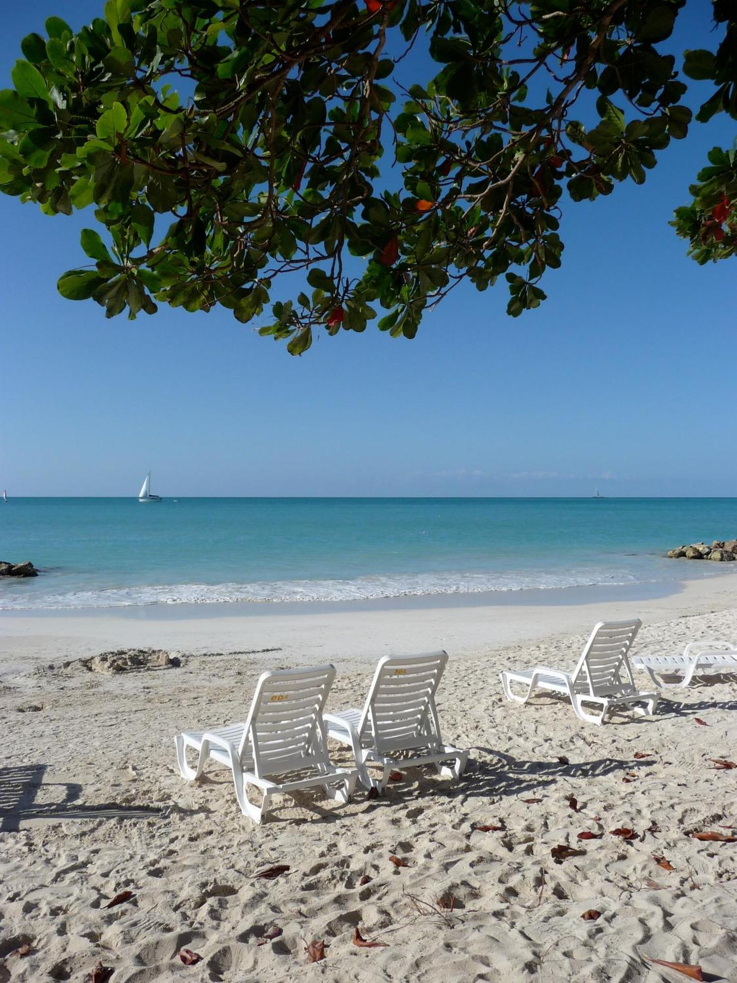 Dickenson Bay Buccaneer Beach Club المظهر الخارجي الصورة