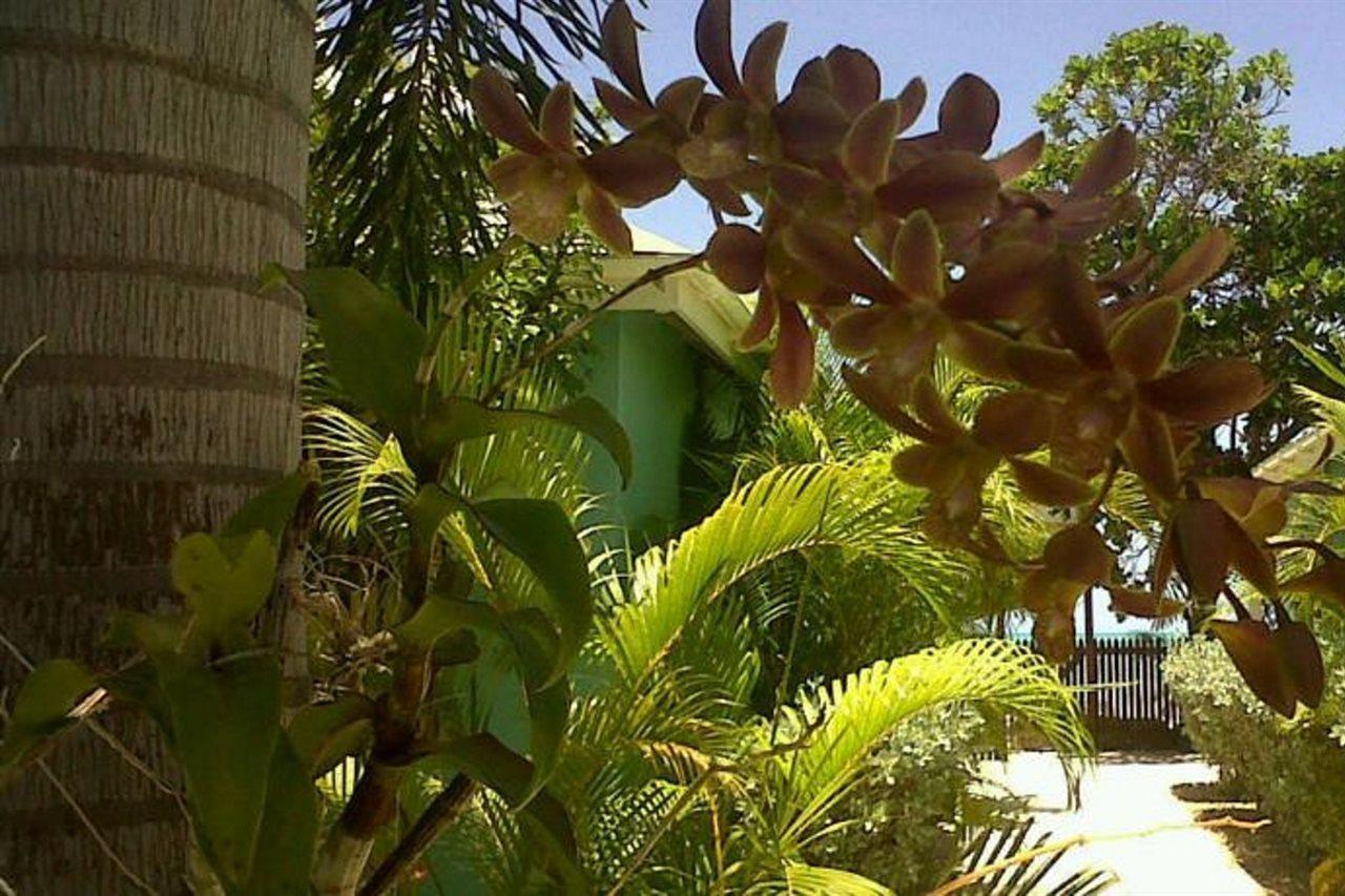 Dickenson Bay Buccaneer Beach Club المظهر الخارجي الصورة