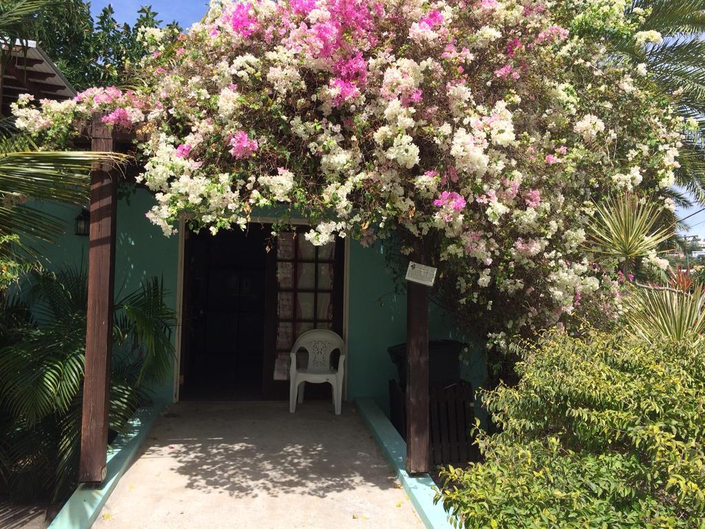 Dickenson Bay Buccaneer Beach Club المظهر الخارجي الصورة