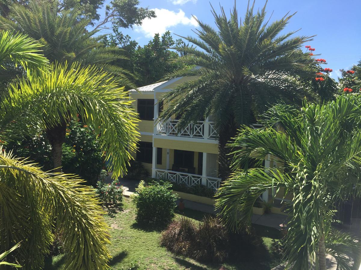 Dickenson Bay Buccaneer Beach Club المظهر الخارجي الصورة
