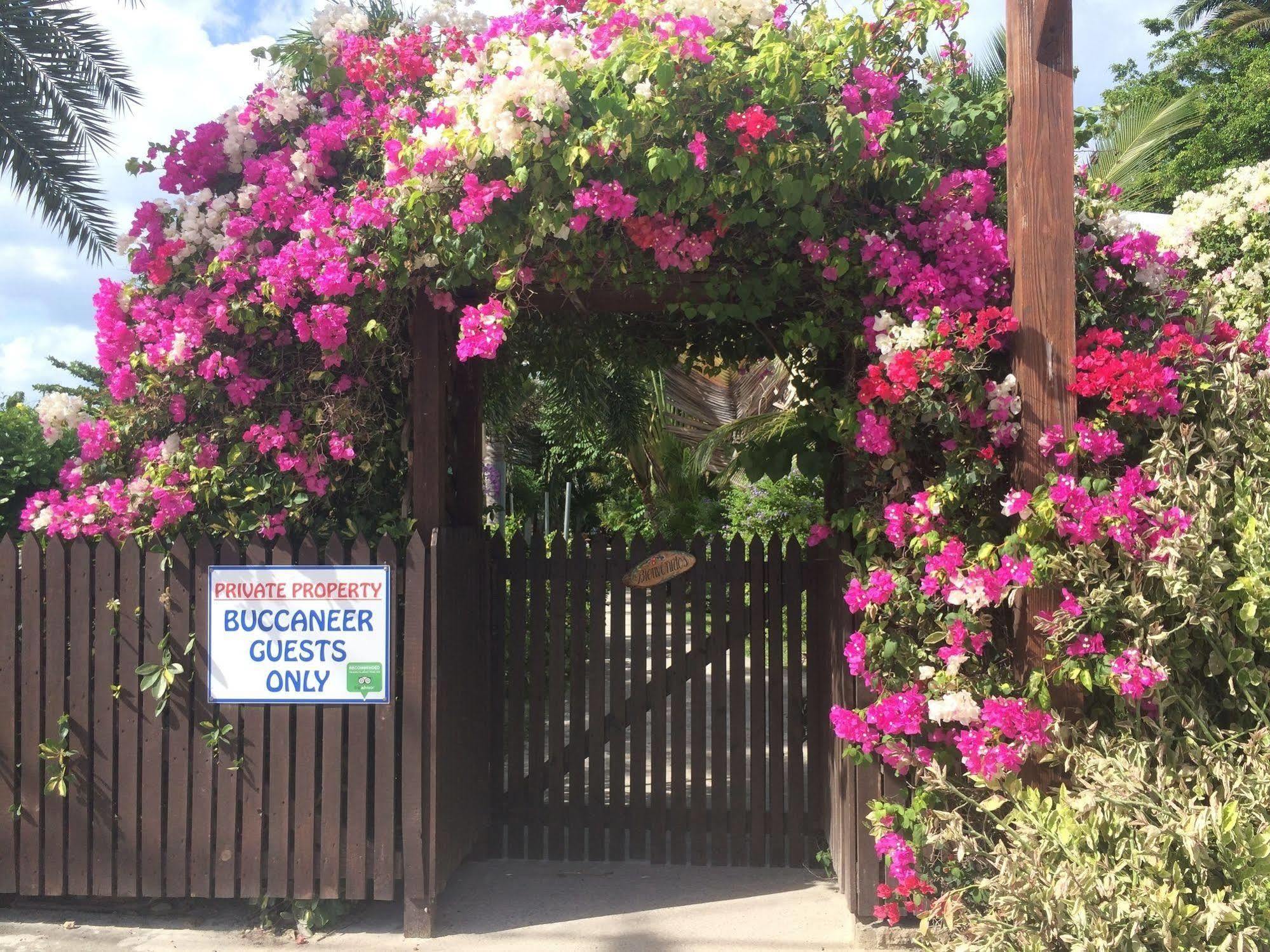 Dickenson Bay Buccaneer Beach Club المظهر الخارجي الصورة