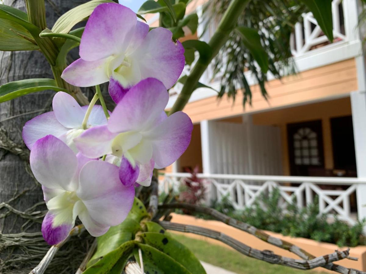 Dickenson Bay Buccaneer Beach Club المظهر الخارجي الصورة